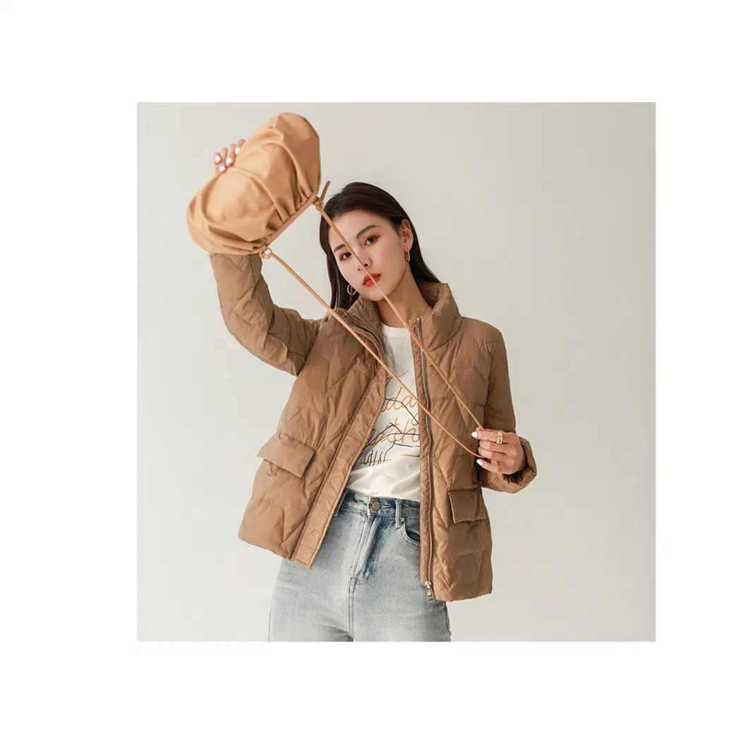 Literary Style Simple Style Women′ S Down Jacket Women′ S New Stand-up Collar Fashion Pure Color White Duck Down Warm Bread Wear Tide